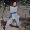 Film: Il colpo maestro di Bruce Lee (1979) di J. Law
