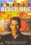 Black Dog - 1999