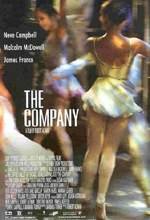 The Company - 2004