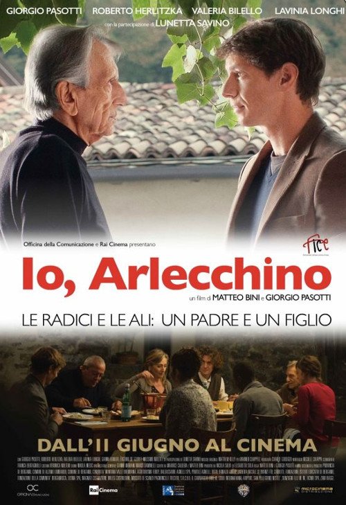 Io, Arlecchino - 2014